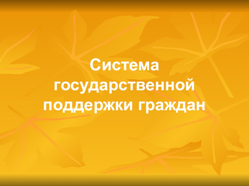 Презентация Презентация Система государственной поддержки граждан