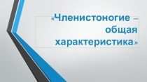 Презентация по биологии Членистоногие (7 класс)