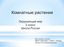 Презентация по окружающему миру на тему Комнатные растения (2 класс)