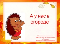 Презентация для дошкольников  А у нас в огороде