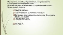 Летний оздоровительный лагерь с дневным пребыванием