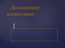 Домашние животные