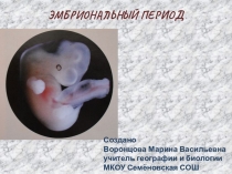 Разработка урока Эмбриональный период онтогенеза (10 класс)