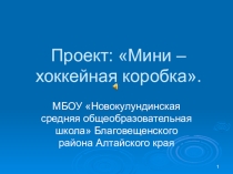Презентация проекта: мини - хоккейная коробка.