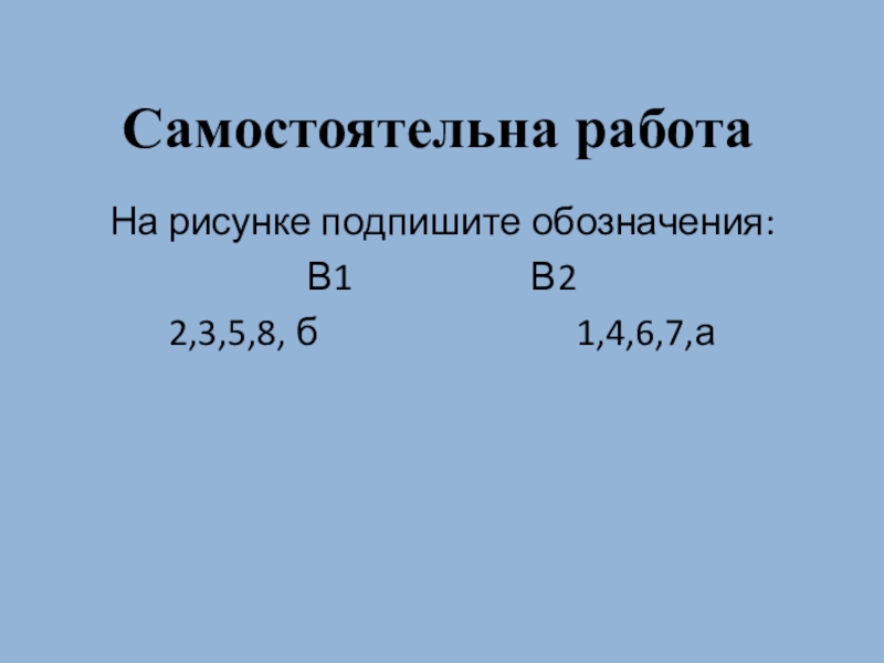 Самостоятельная работа контролирующего характера Сердце человека