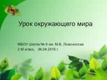 Презентация к уроку окружающего мира 2 класс
