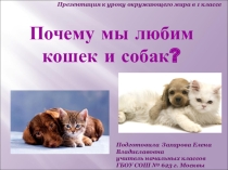 Например:  Почему мы любим кошек и собак