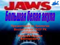 Презентация по биологии Большая Белая акула