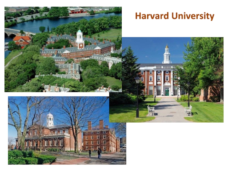 Презентация Известные университеты США. Лига плюща Harvard University Harvard University