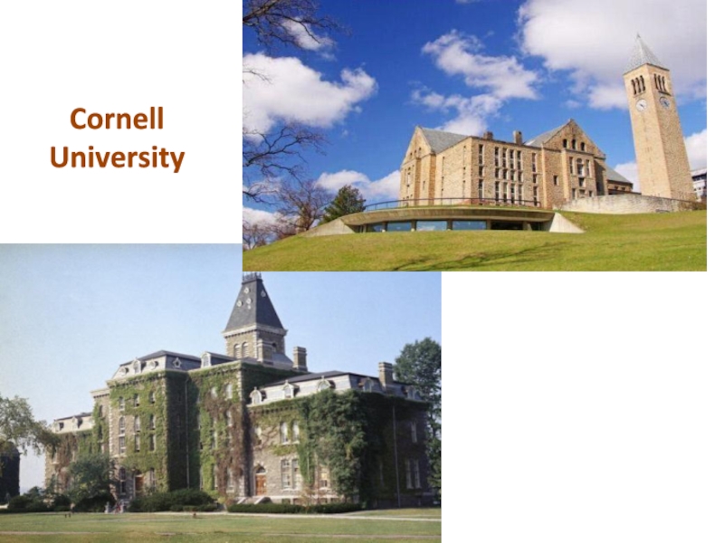 Презентация Известные университеты США. Лига плюща Cornell University Cornell University