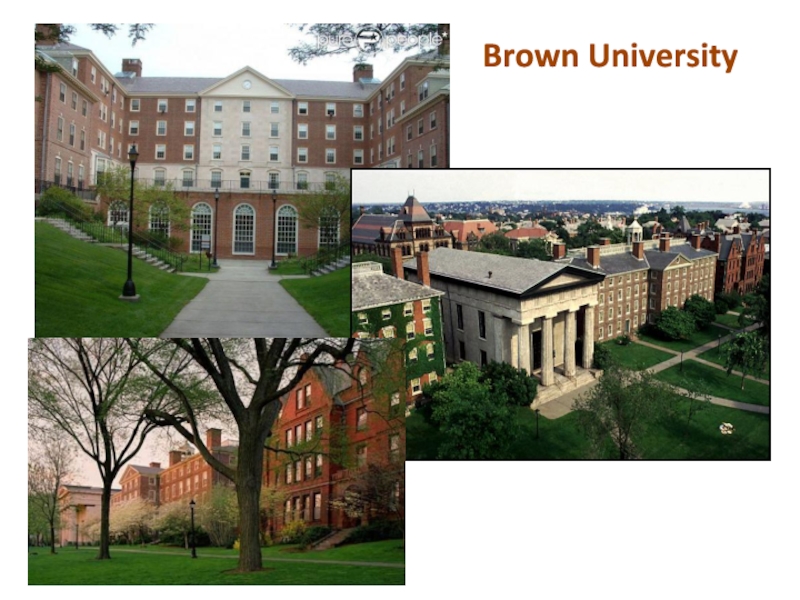 Презентация Известные университеты США. Лига плюща Brown University Brown University