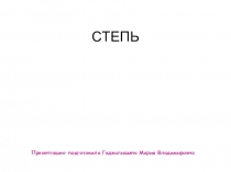 СТЕПЬ