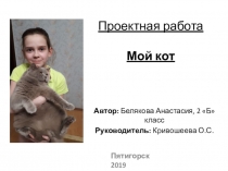 Проект ученицы 2 класса  Мой кот