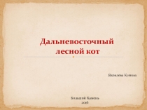 Животные Красной книги Приморского края. Дикий кот.