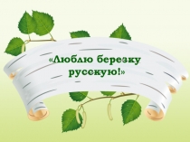 Мультимедийная презентация  Люблю березку русскую