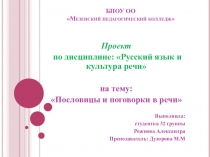 Презентация по дисциплине Русский язык и культура речи на тему: Пословицы и поговорки в речи