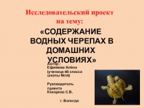 Презентация исследовательского проекта Содержание водных черепах в домашних условиях (4 класс)