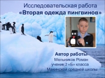 Презентация к исследовательской работе Вторая одежда пингвинов