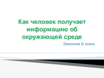 Как человек получает информацию об окружающей среде.