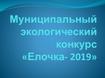 МУНИЦИПАЛЬНАЯ АКЦИЯ ЕЛОЧКА - 2019