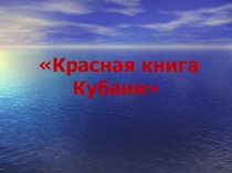 Речевой праздник в 4-5 классах школы II вида