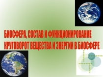 БИОСФЕРА, СОСТАВ И ФУНКЦИОНИРОВАНИЕ КРУГОВОРОТ ВЕЩЕСТВА И ЭНЕРГИИ В БИОСФЕРЕ