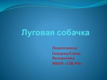 Презентация по окружающему миру 3 класс Луговая собачка