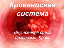 Презентация по биологии Кровеносная система, 8 класс