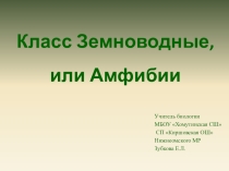 Презентация по биологии 7 класс Класс Земноводные