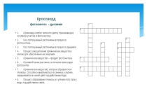 Презентация по биологии на тему: Дыхание жизни