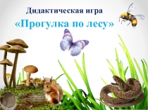 Презентация по экологическому воспитанию Дидактическая игра Прогулка по лесу( для 4 класса)