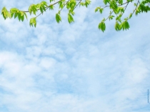 Фоны для слайдов по предметам разные