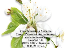 Урок в 5 классе. Тема:  Размножение растений.