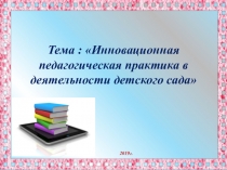 Презентация Инновационная педагогическая практика в ДОУ