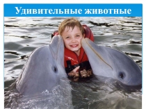 Презентация к уроку русского языка на тему: Распознавание склонения имён существительных, употреблённых в косвенных падежах (4 класс).