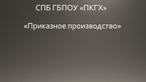 Презентация Приказное производство в ГПП