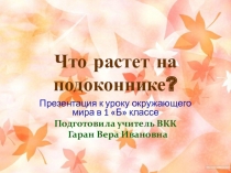 Презентация по окружающему миру на тему Что растет на подоконнике 1 класс
