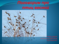 Презентация  Поговорим о птицах весной