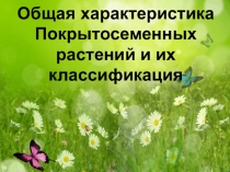 Общая характеристика отдела Покрытосеменные растения и их классификация