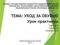 Презентация Урок -практикум Уход за обувью