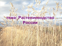 Деловая игра Рациональное размещение земледелия, 9-й класс