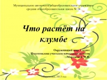 Презентация по окружающему миру. 1 класс. Что растет на клумбе