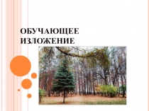 Презентация по русскому языку на тему Обучающее изложение Ёлочка (3 класс)