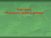 Презентация по биологии на тему Плесневые грибы и дрожжи ( 5 класс)