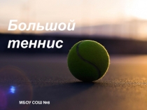 Презентация по физической культуре на тему Теннис