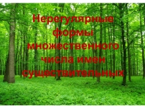 Особые случаи образования множественного числа существительных