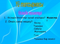 Орман өсімдіктері 4 сынып