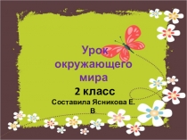 Презентация по окружающему миру 2 класс Про кошек и собак