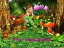 География. 7 класс. Редкие птицы России. Утка - мандаринка