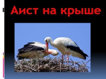 Аист на крыше - мир на Земле
